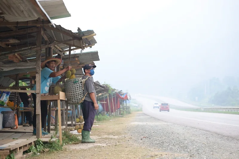 Malaysia will not shield companies linked to Indonesia fires: Anwar