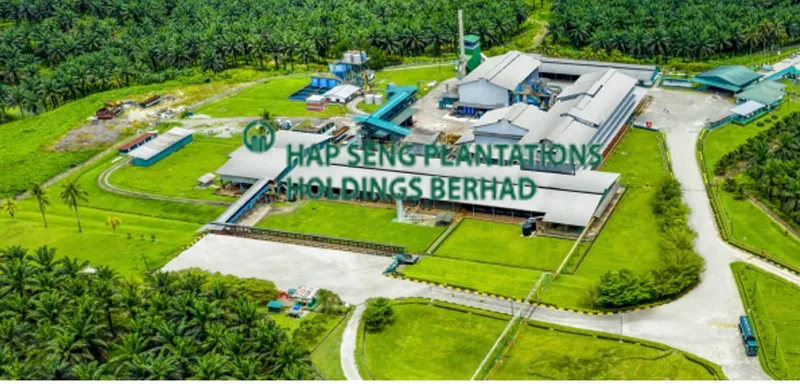Hap Seng Plantation仍是棕榈油最具吸引力的股票，尽管面临潜在天气风险