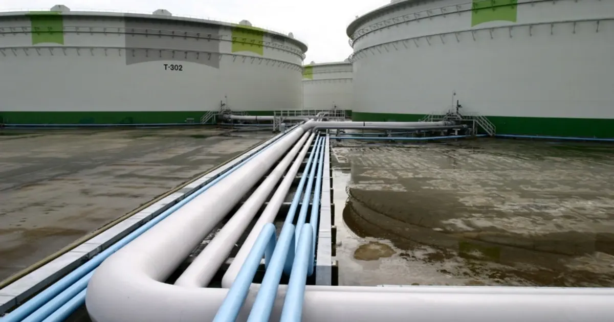 Develop our own model for strategic fuel reserve, says analyst
