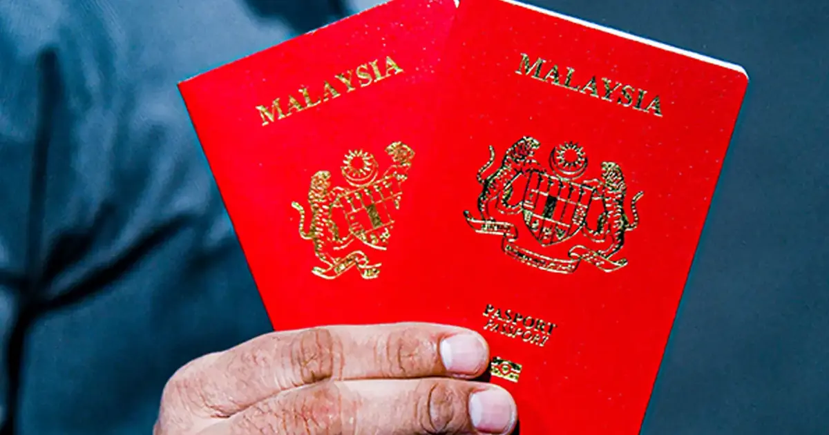 Passport blunder shows serious failure in planning and testing, says MP