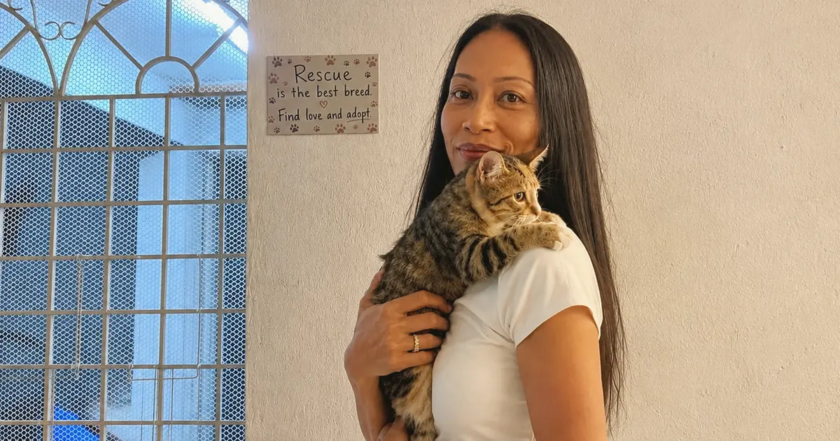 Kawasan selamat untuk kucing yang sakit ini semakin kehabisan masa