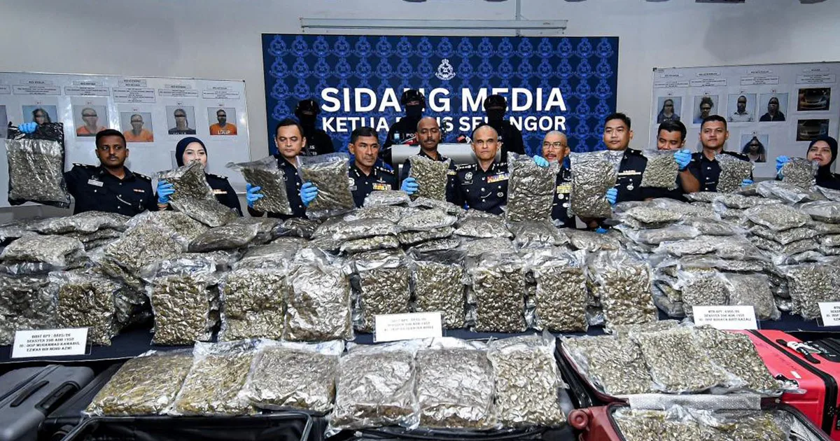 警察、3340万リンギット相当の大麻密売網を摘発