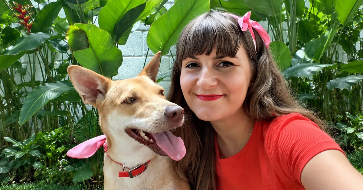 救助犬サイ・サイ、マレーシアからスイスで幸せに暮らす