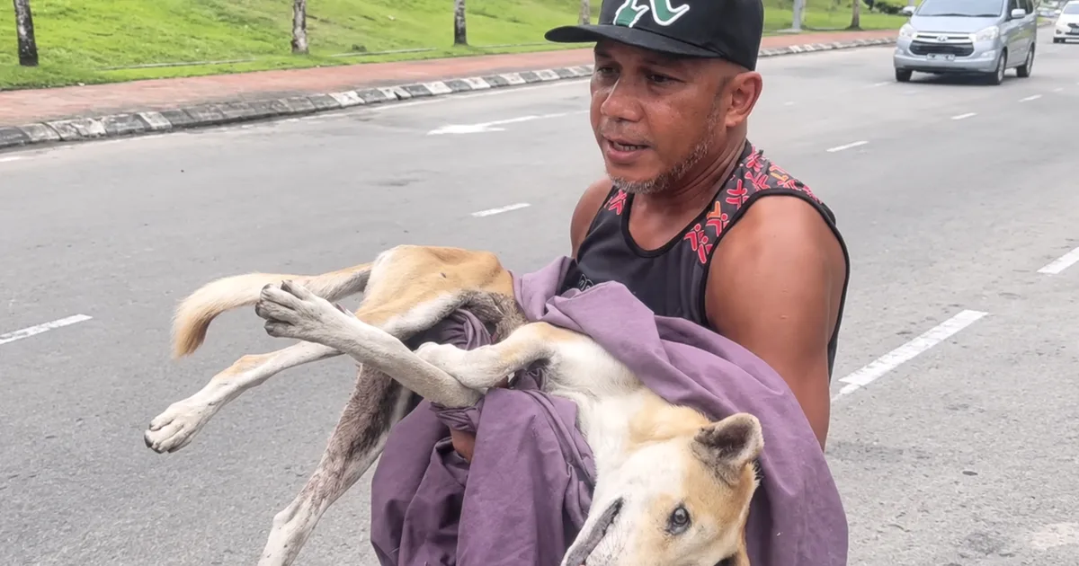 元格闘家AJ氏「Pyro」氏、今は動物保護に力尽くす