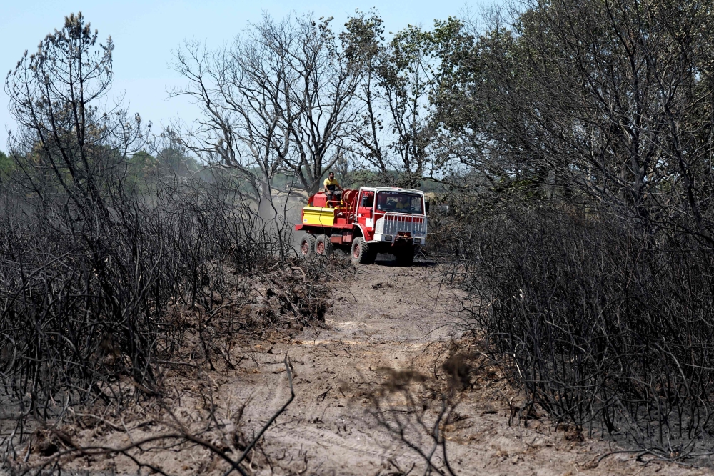 France, Spain evacuate 160,000 as wildfires tear through Bordeaux and Madrid