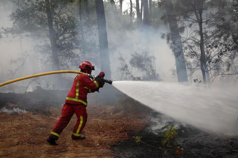 フランス山火事、ボルドー脅かす