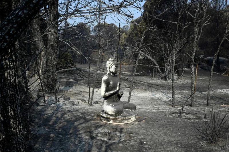 山火事後に故郷に戻ったスペインの村