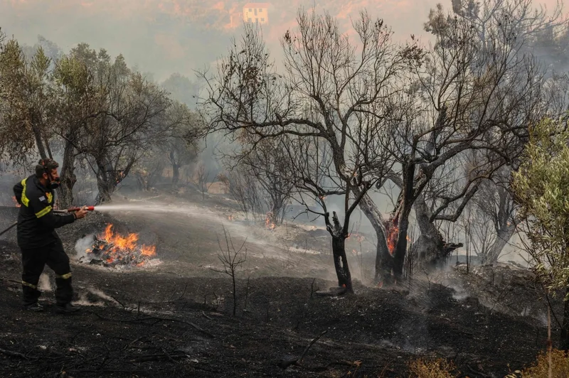 ギリシャで強風による山火事で消防士3人死亡