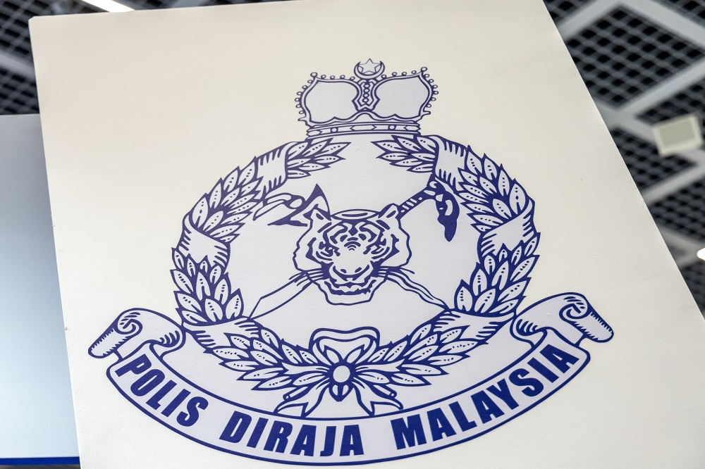 Police to investigate dog’s death during Klang stray‑catching operation, says Royal Klang City Council