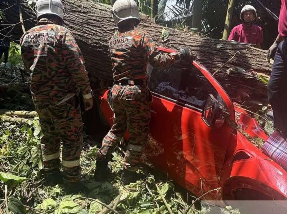 Maran Umno Youth chief, wife and child among four killed in Bentong crash