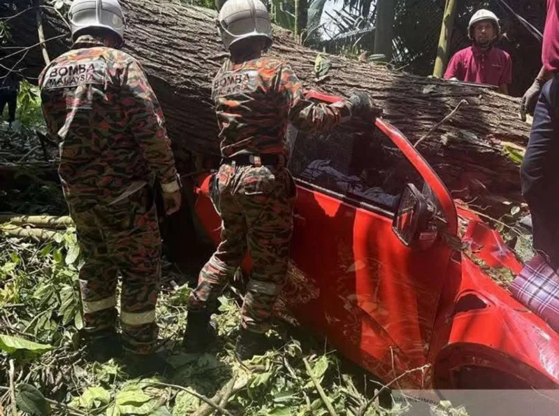 ベントン事故でマラン・ウムノ部長一家死亡