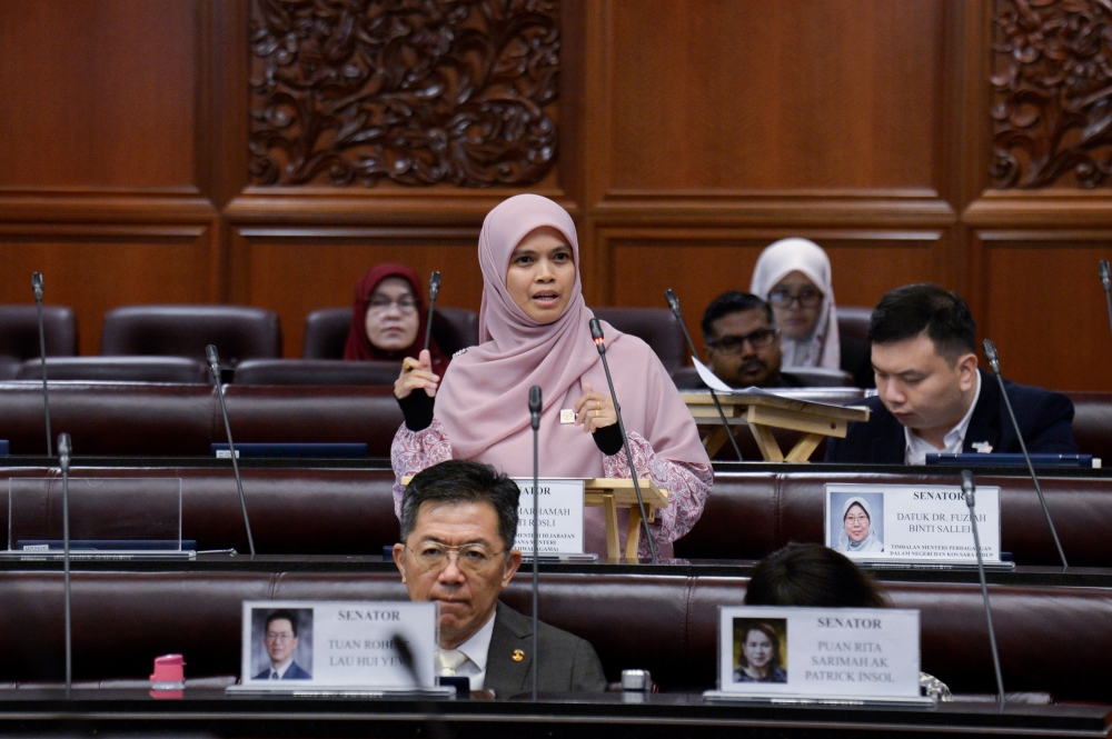 Senator: Detailed study needed to assess e‑commerce platform practices as Malaysia pledges fair competition