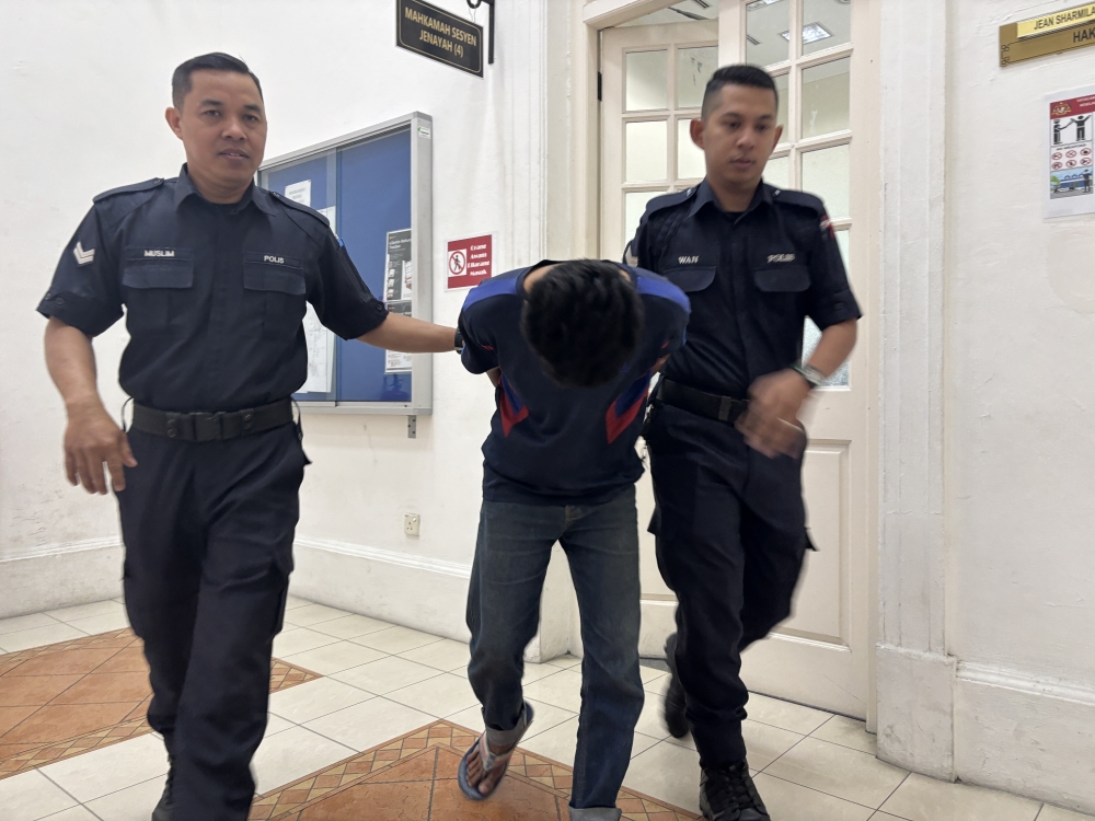 Lorry driver charged with sexually assaulting two daughters in Seri Iskandar