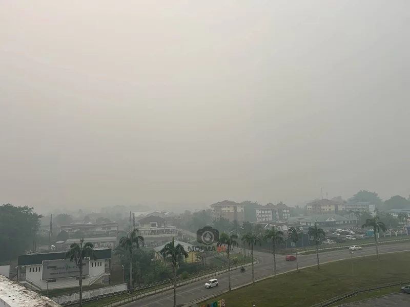 サラワク大気汚染悪化、セリアンでAPIが500超に