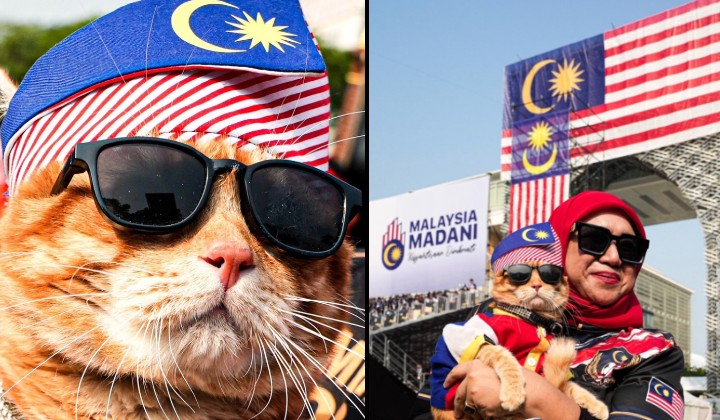 [Watch] Thousands Came For The Merdeka Parade, They Stayed For The Cat