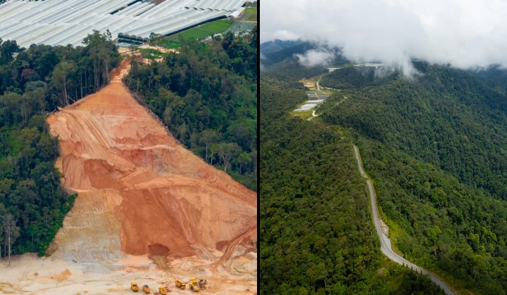 New Law Says Public Must Be Consulted Before Forests Are Cleared, Pahang And Three Other States Said No To That Part
