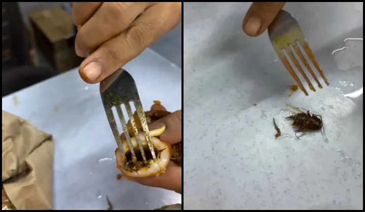 [WATCH] Nasi Kandar Splurge Turns Into Nightmare After Diner Allegedly Finds Cockroach Inside Squid