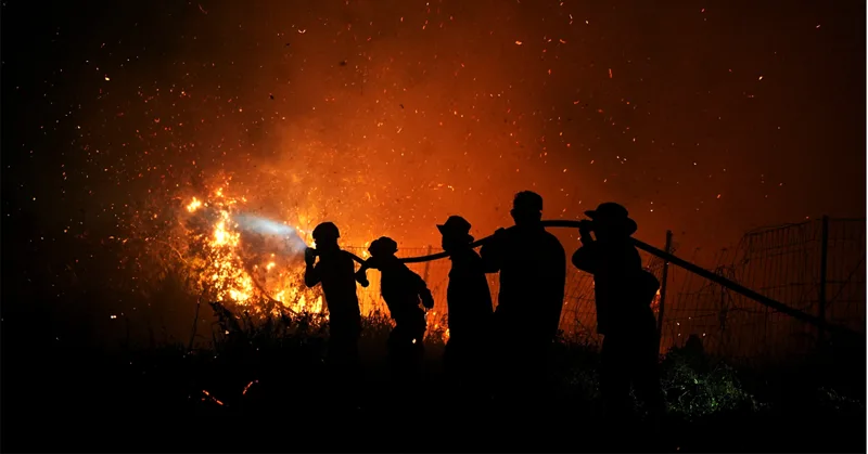 NEA serves haze notices on 20 companies over Indonesian fires