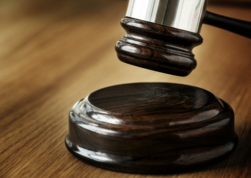 Dog owner ordered to pay RM248,458 after neighbour suffers spinal fracture