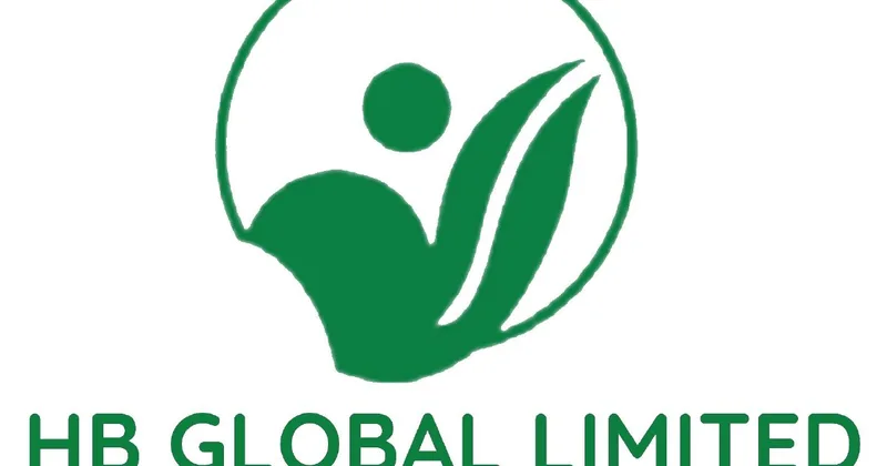 HB Global unable to meet FY26 annual report deadline