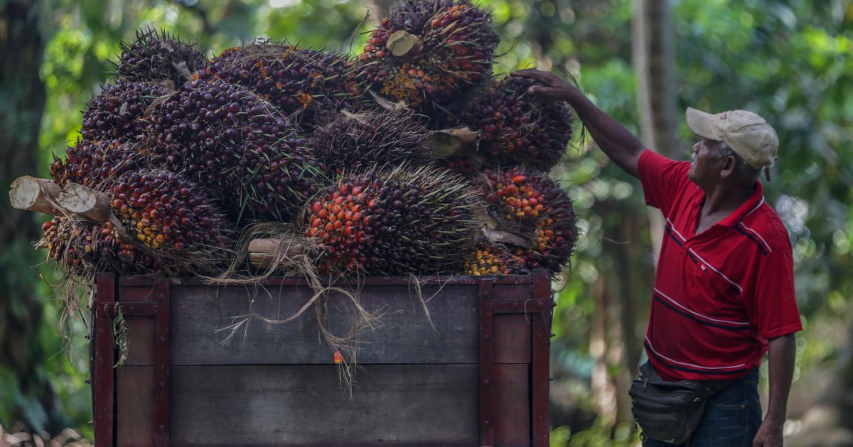 Palm opens lower on weaker rival oils, crude oil prices