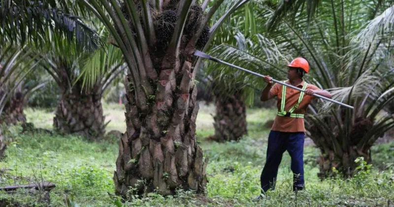 リムブナン・サウィット、道路封鎖で1000万リンギット損失