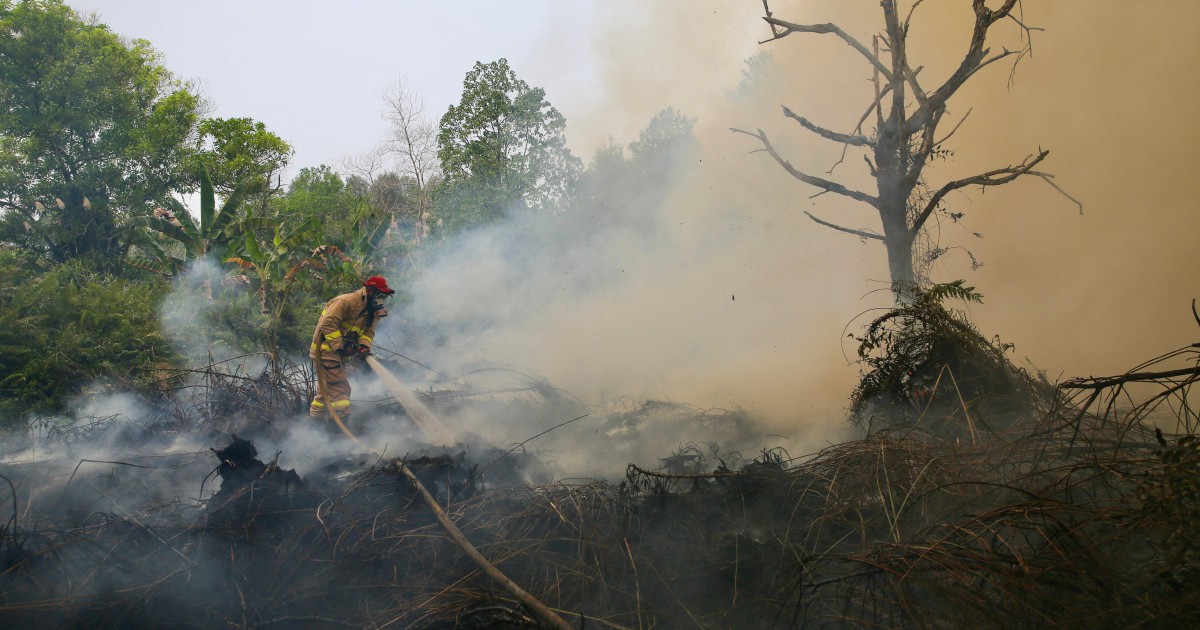 Hotspots rise in Kalimantan as air quality worsens in 10 areas