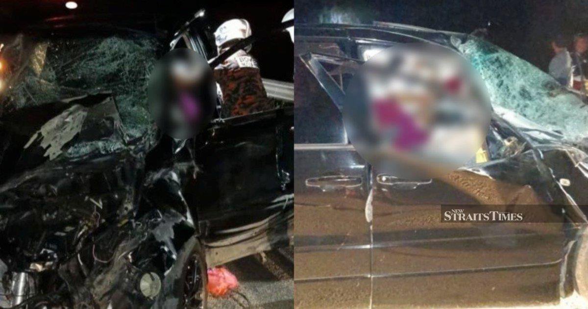Nanta: LPT2 concessionaire to review long-term safety measures after elephant collision