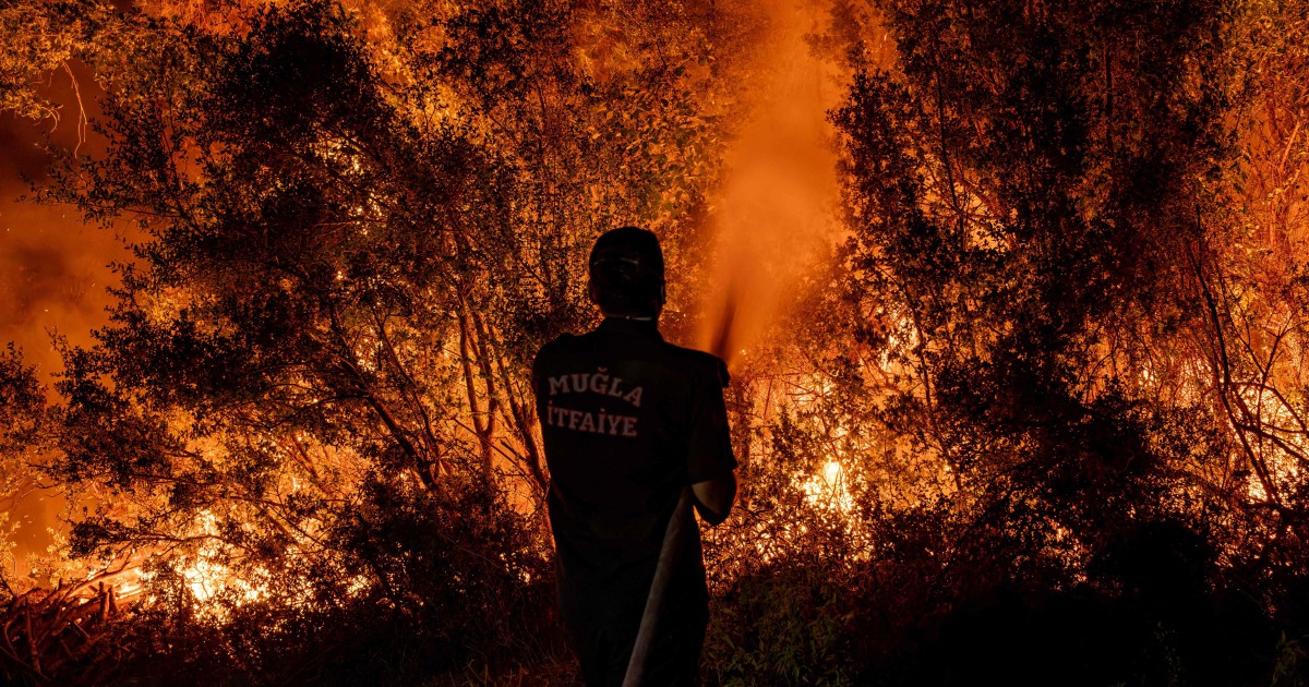 Turkish authorities declare 115 forest fires countrywide with 110 under control