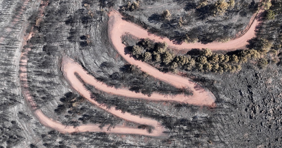 Woman dies weeks after Spain wildfire, taking death toll to 14